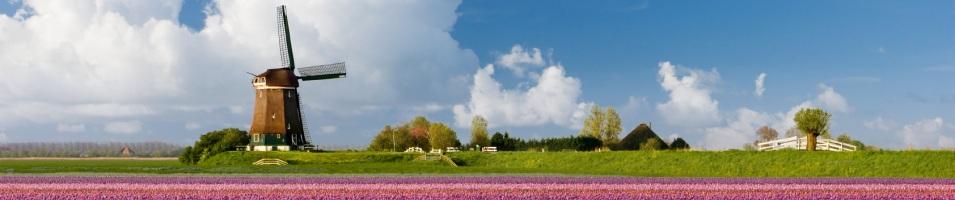 Dutch Windmills
